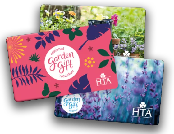 HTA Vouchers